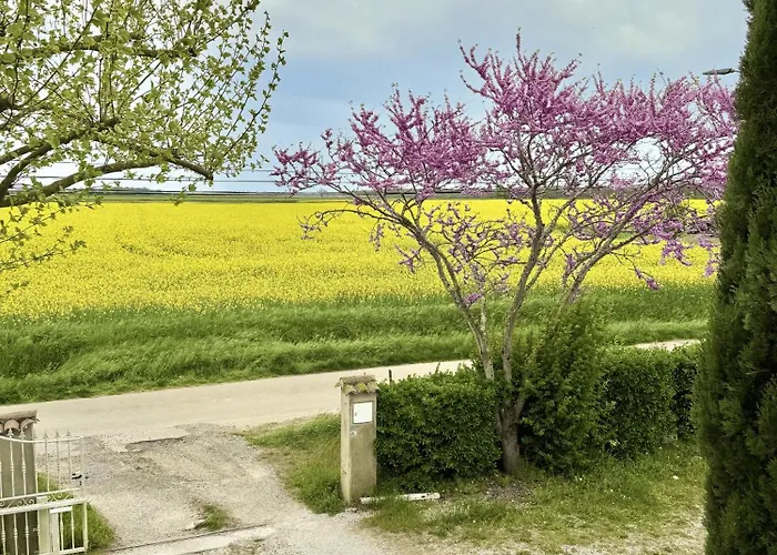 Le Loft De L'artisterie Mondonville